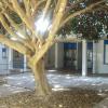 Ingresso via Mastino